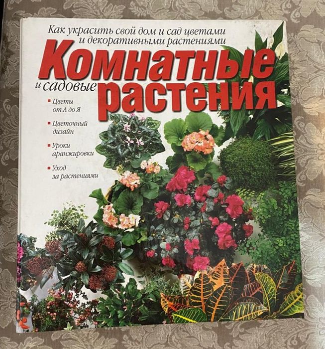 Кулинария рецепты