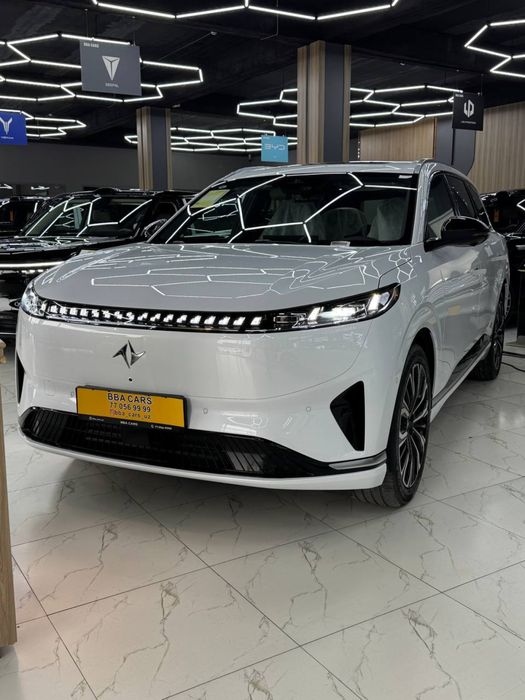 Dongfen 008 restaling