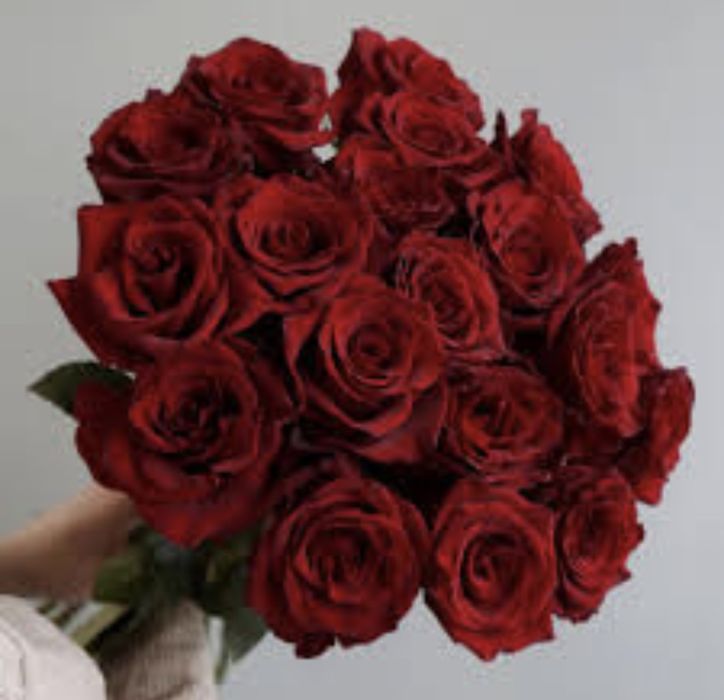 Роза оптом розница от 800тг шт