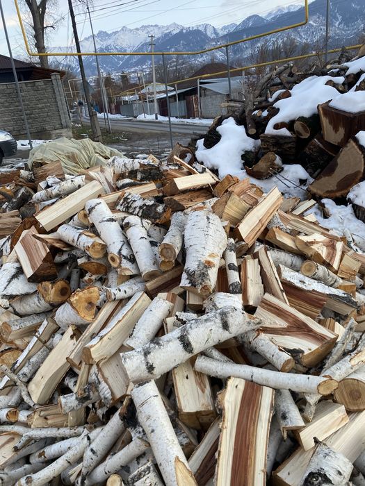 Берёза Дрова Баня