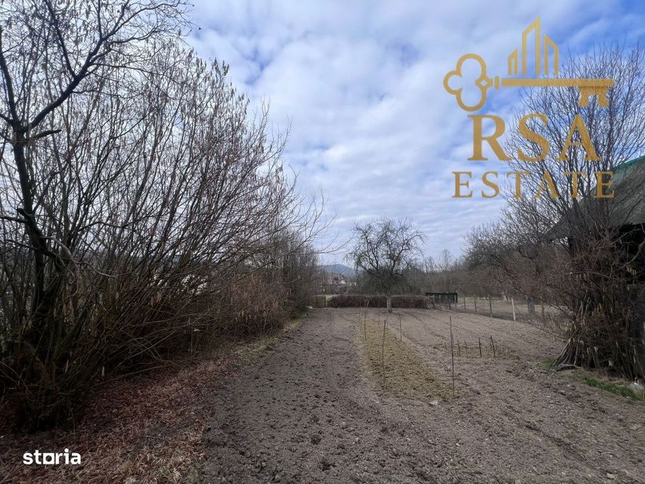 Vanzare teren 2100 mp, Mihaesti – Barsesti, ideal casa sau investiti