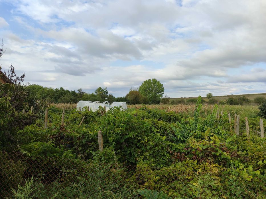 Продава се Къща в с. Градини, Област Добрич - 80 кв.м за 300 €/кв.м - Снимка #3