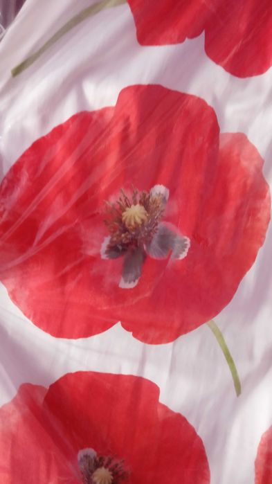 Дамска пола на испанската марка Bellissima