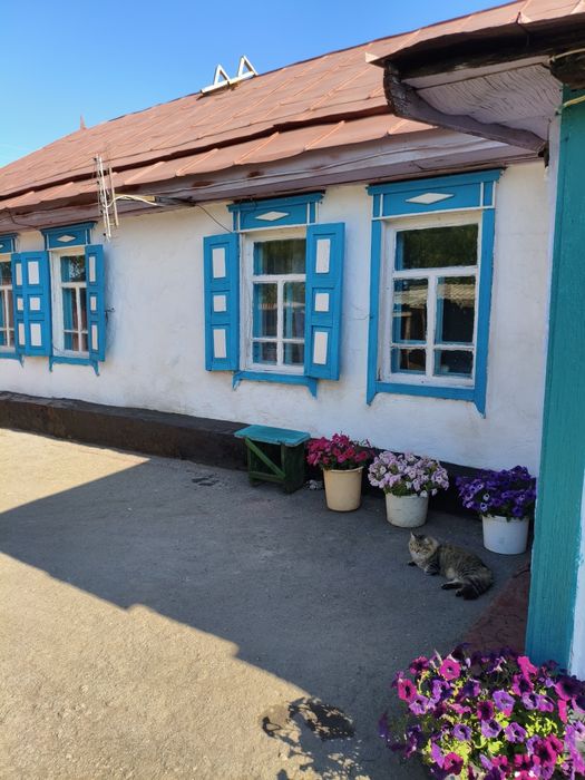 Продам дом за городом. Нечаевка