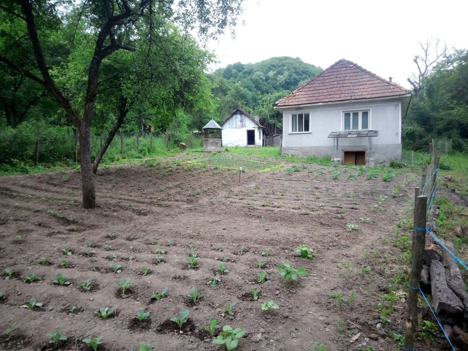 Vand Casa Halmagiu Sat Tisa 2763 m²