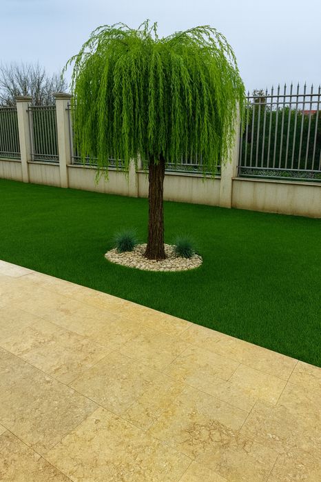 Gazon rulou 20 lei mp