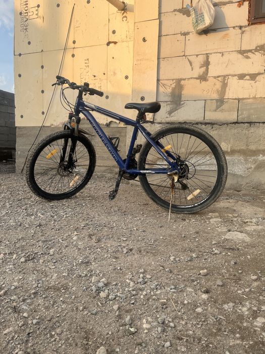 велик в хорошем состаянияе