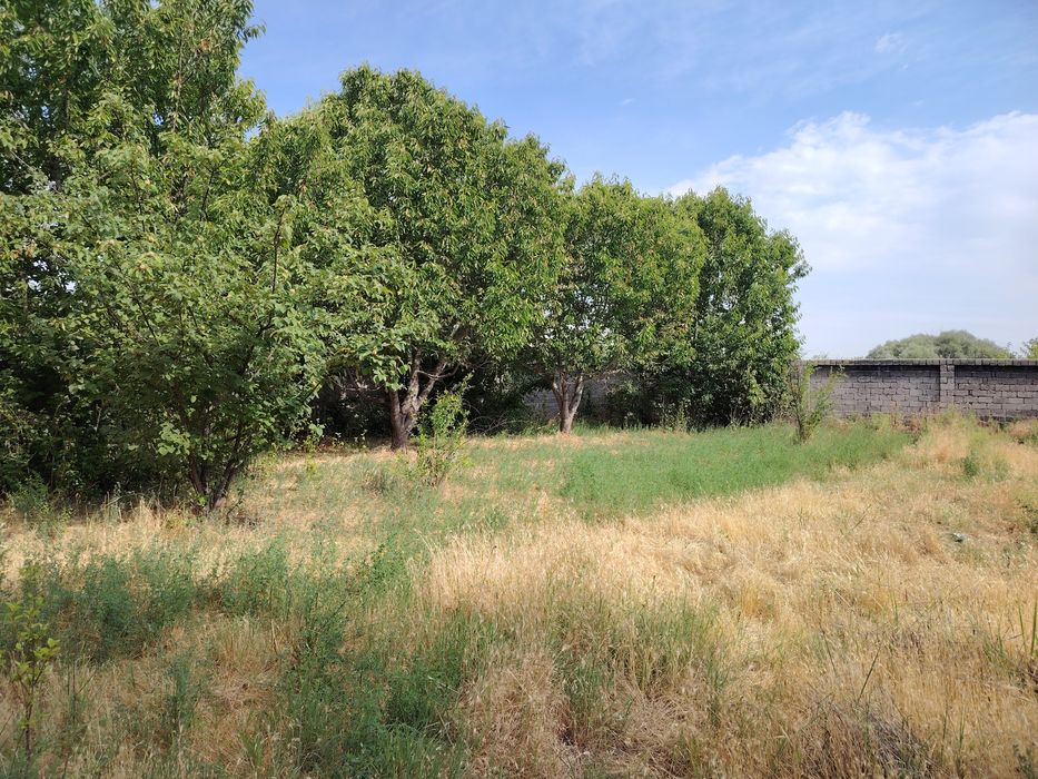 Янгийул тумандан ер сотилади 5 сотих