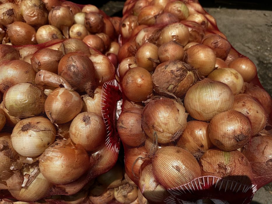 Лук репчатый  с доставкой по городу