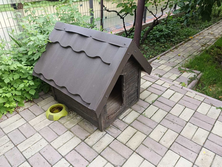 Vand cusca caine talie medie