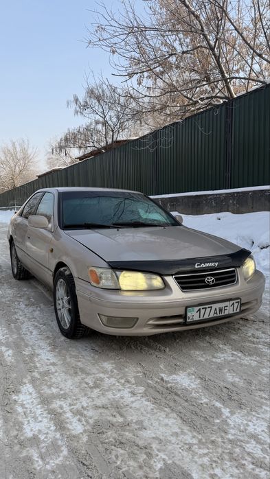 В рассрочку без участия банка