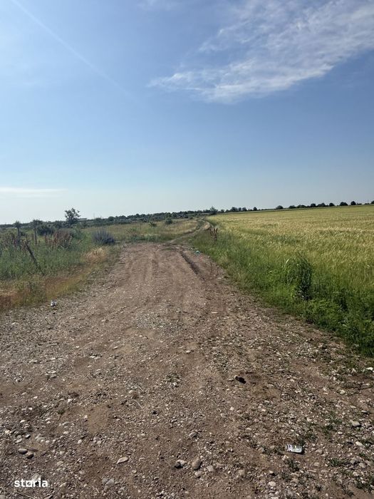 Teren 10 hectare pretabil pt panouri solare-Aricesti Rahtivani