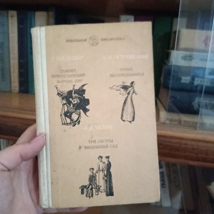 Книги с сервантом.