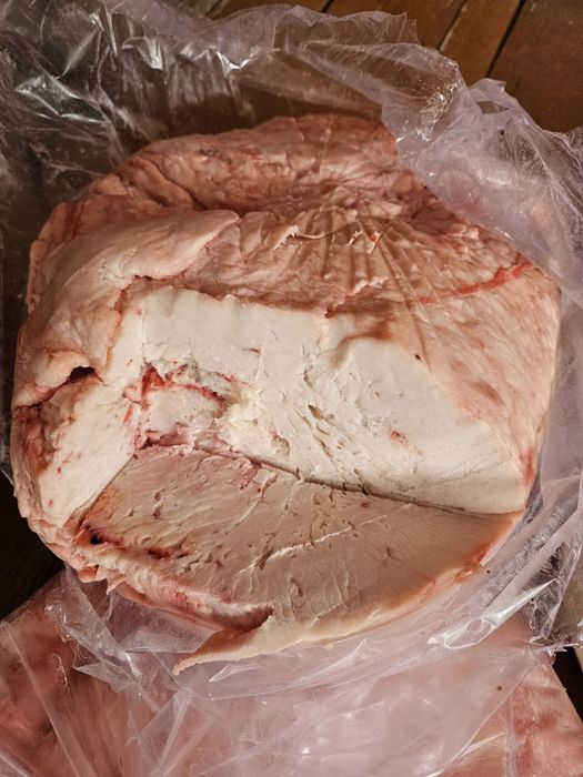 Quy Dumba Qazaq Tozza Svejiy