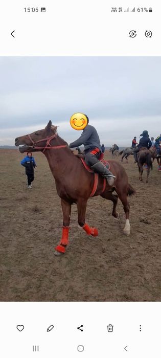 Ат сатылады срочна