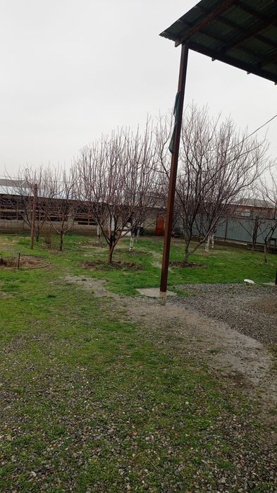 Продам срочно дом