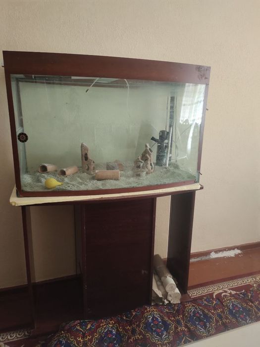 Akvarium, Аквариум  60,120,40