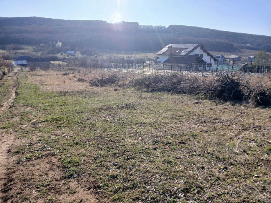 Teren cu panorama Betfia -1 MAI