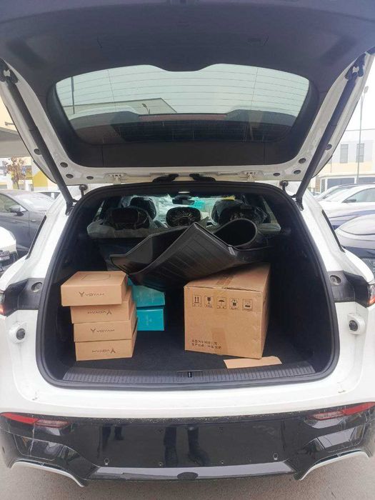 Voyah Free 318 opollo tech