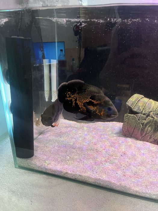 Аквариум 115 литров