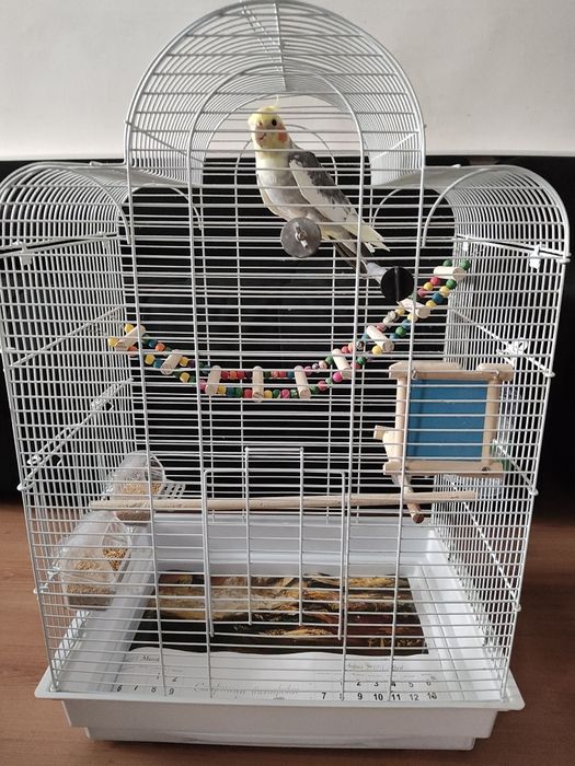 Клетка с папагал КОРЕЛА