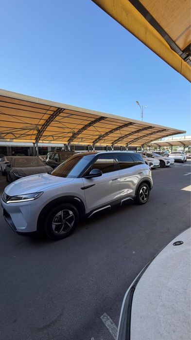 Byd yuan up 2024