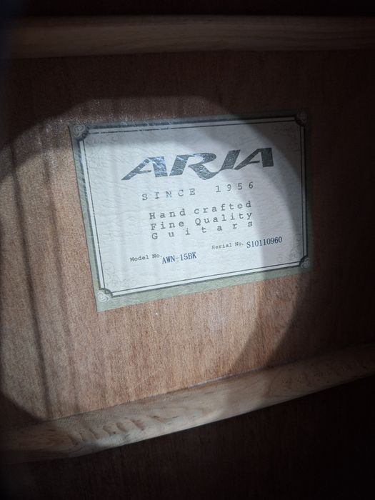 Chitara acustica ARIA AWN-15BK