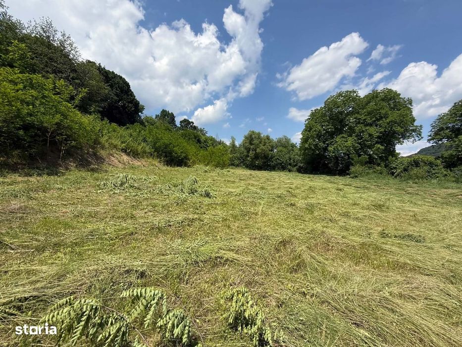 4.000 mp intravilan in Moinesti pentru dezvoltare rezidentiala P+2