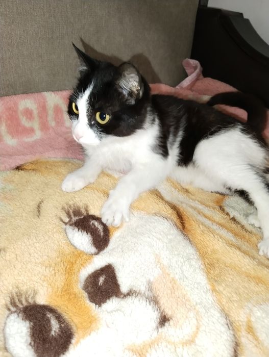 Красавица девочка Лада