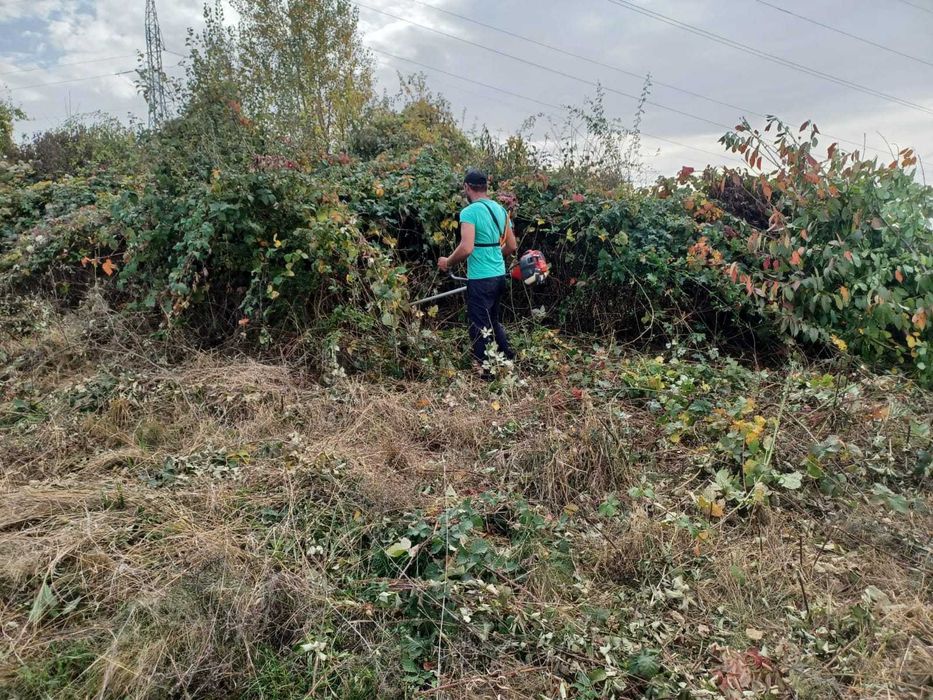 Defrisam livezi GRATIS! CURATAM/DEFRISAM terenuri in Cluj Napoca