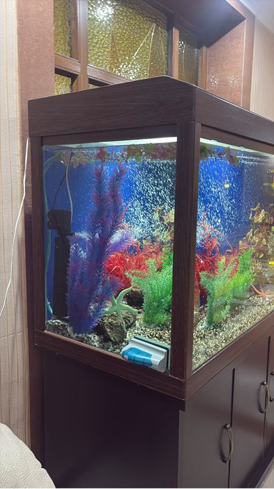 Аквариум б/у в отличном состояние,комплект 200000 тысяч