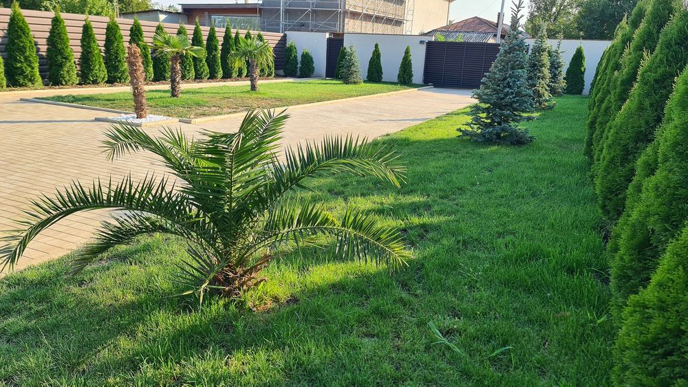 Vilă de lux + piscină