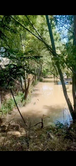 Ер сотилади 6 соток. Продается 6 соток земли