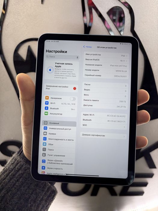 Ipad Mini 7 WIFI 256gb