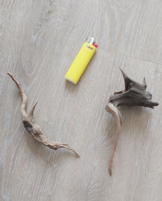 Коряжки аквариумные