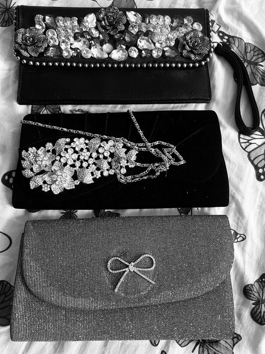 Женские сумкачалар