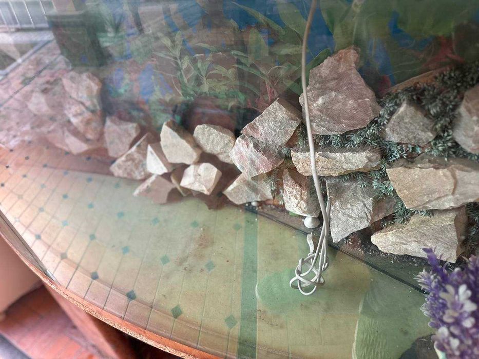 Продаётся большой аквариум - идеально для создания подводного мира!