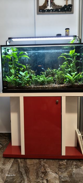 Acvariu complet cu accesorii