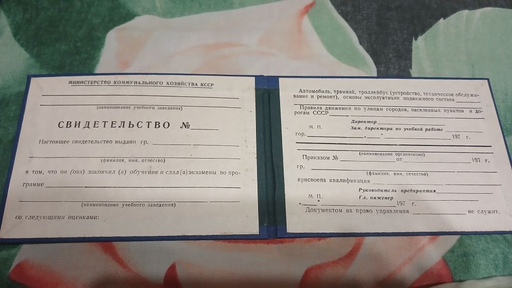Свидетельство заброшенного тролейбусного парка