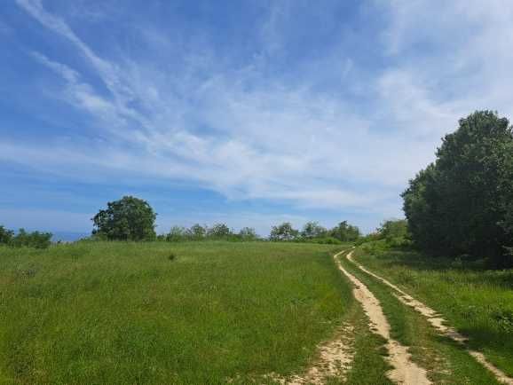 Продава се Парцел в Бяла - 8600 кв.м за 71 €/кв.м - Снимка #6