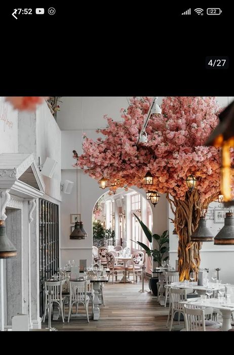 Dikarativni daraxtlar