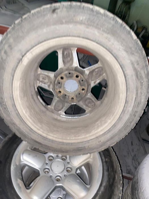 Продам шницера р16