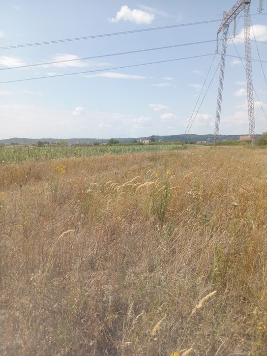 Teren în Osorhei