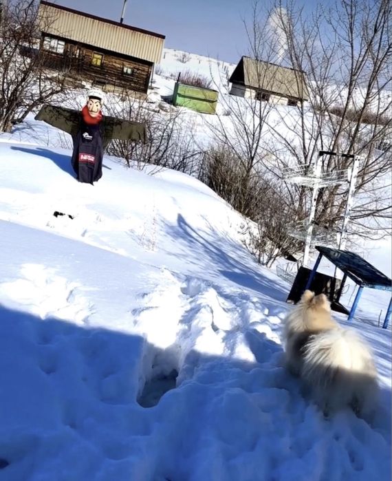 Продам землю в ахмирова