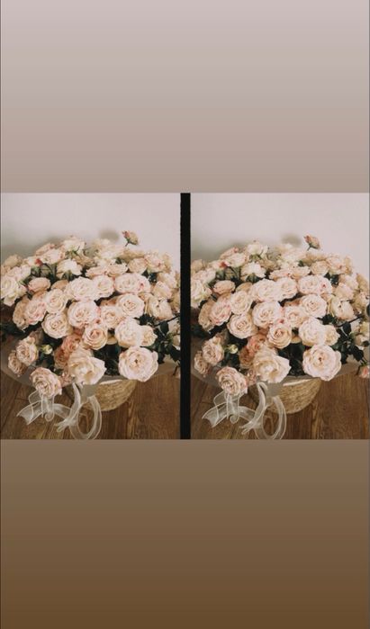 Цветы свежий ,багасын келисемиз