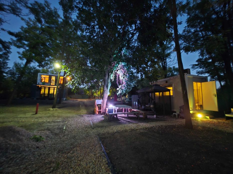 Proprietate cu potențial de retreat / glamping, 2.600 mp, pădure și acces la baltă – 35 km de București