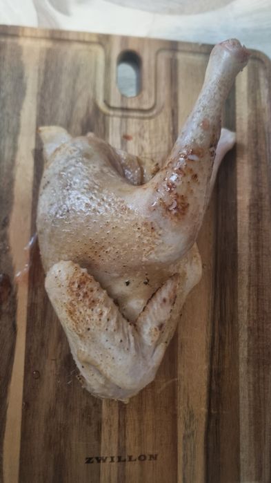 Куры домашние бульоные