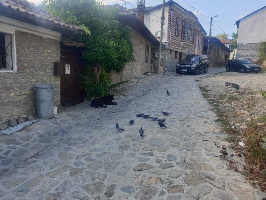 Парцел с идеен проект, гр.Велико Търново