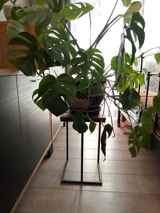 Подставка для растений