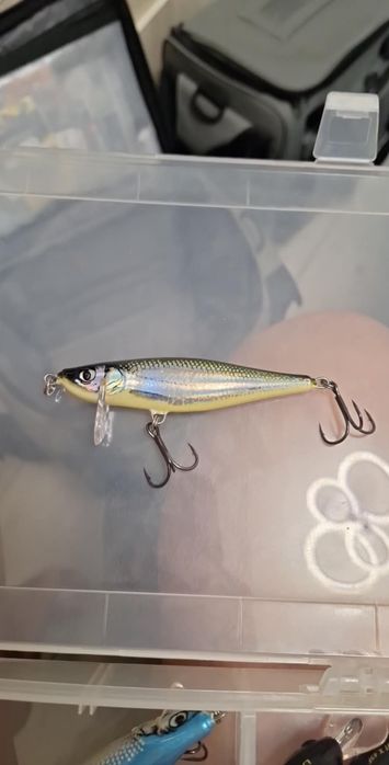 Voblere noi...rapala salmo yozuri